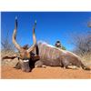 Image 3 : 7 Day South Africa Plains Game for Two Hunters includes $1,500 Trophy Fee Credit per Hunter