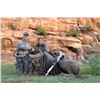 Image 4 : 7 Day South Africa Plains Game for Two Hunters includes $1,500 Trophy Fee Credit per Hunter