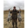 Image 2 : 3 Day Saskatchewan Duck/Canada/Specklebelly/Ross/Snow Goose/Sandhill Crane Hunt for One Hunter i