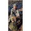 Image 1 : 1 Day Minnesota Trophy Ram Hunt for One Hunter