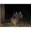 Image 2 : 3 Day Croatia Big Game Hunt for Two Hunters or One Hunter and One Non-Hunter plus Two Tourism Da