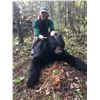 Image 17 : 6 Day Minnesota Black Bear Hunt for One Hunter