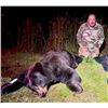 Image 21 : 6 Day Minnesota Black Bear Hunt for One Hunter