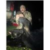 Image 31 : 6 Day Minnesota Black Bear Hunt for One Hunter