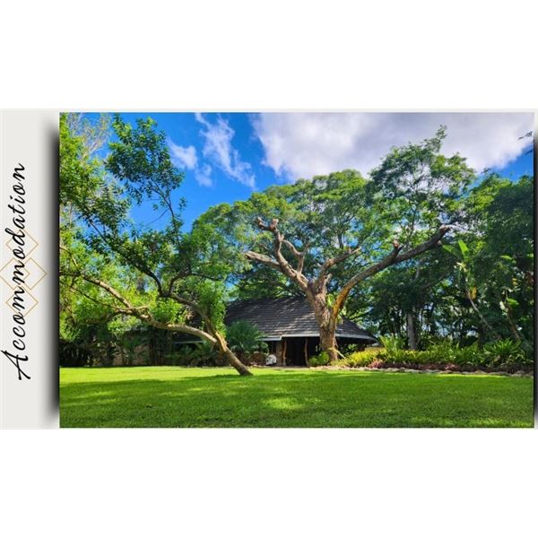 4 Day South Africa Nyala Hunt for Two Hunters includes Trophy Fees for One Nyala per Hunter