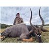 Image 3 : 4 Day South Africa Nyala Hunt for Two Hunters includes Trophy Fees for One Nyala per Hunter