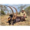Image 6 : 4 Day South Africa Nyala Hunt for Two Hunters includes Trophy Fees for One Nyala per Hunter