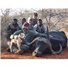 Image 11 : 8 Day Limpopo South Africa Plains Game for Two Hunters includes Five Trophies