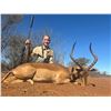 Image 6 : 8 Day Limpopo South Africa Plains Game for Two Hunters includes Five Trophies
