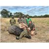 Image 3 : 10 Day Mozambique Cape Buffalo Safari for One Hunter
