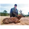 Image 5 : 4 Day Spain Roe Deer Hunt and 3 Days Sightseeing for Two Hunters & Two Non-Hunters