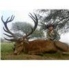 Image 5 : 4 Day La Pampa Argentina Blackbuck Antelope Hunt for Two Hunters includes One Blackbuck per Hunt