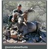 Image 1 : 10 Day Sonora Mexico Desert Bighorn Sheep Hunt for One Hunter