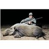Image 12 : 10 Day South Africa Cape Buffalo Hunt for One to Four Hunters