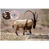 Image 1 : 5 Day Iran Persian Ibex Hunt for One Hunter includes One Persian Ibex