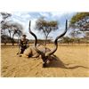 Image 17 : 7 Day South Africa Blue Wildebeest, Impala, Blesbuck Hunt for 2 Hunters & 2NH's includes 6 Trophies