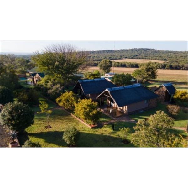 7 Day South Africa Blue Wildebeest, Impala, Blesbuck Hunt for 2 Hunters & 2NH's includes 6 Trophies