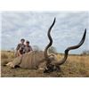 Image 23 : 7 Day South Africa Blue Wildebeest, Impala, Blesbuck Hunt for 2 Hunters & 2NH's includes 6 Trophies