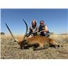 Image 6 : 7 Day South Africa Blue Wildebeest, Impala, Blesbuck Hunt for 2 Hunters & 2NH's includes 6 Trophies