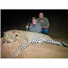 Image 1 : 14 Day Mozambique Leopard Hunt for One Hunter