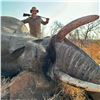 Image 5 : 7 Day Zimbabwe Dangerous Game Safari for One Hunter includes $8,000 Daily Fees Credit