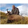 Image 4 : 5 Day New Zealand Bull Tahr & Chamois Combo for One Hunter