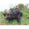 Image 2 : 3 Day Serbia Wild Boar Hunt for Two Hunters or One Hunter and One Non-Hunter includes One Wild B