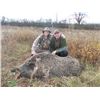 Image 3 : 3 Day Serbia Wild Boar Hunt for Two Hunters or One Hunter and One Non-Hunter includes One Wild B
