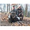 Image 5 : 3 Day Serbia Wild Boar Hunt for Two Hunters or One Hunter and One Non-Hunter includes One Wild B
