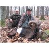 Image 7 : 3 Day Serbia Wild Boar Hunt for Two Hunters or One Hunter and One Non-Hunter includes One Wild B