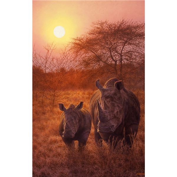 Framed Limited Edition Canvas Print titled "Rising Son"