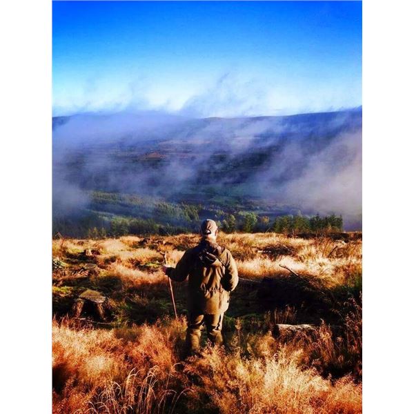 5 Day Ireland Sika Stag Hunt for One Hunter