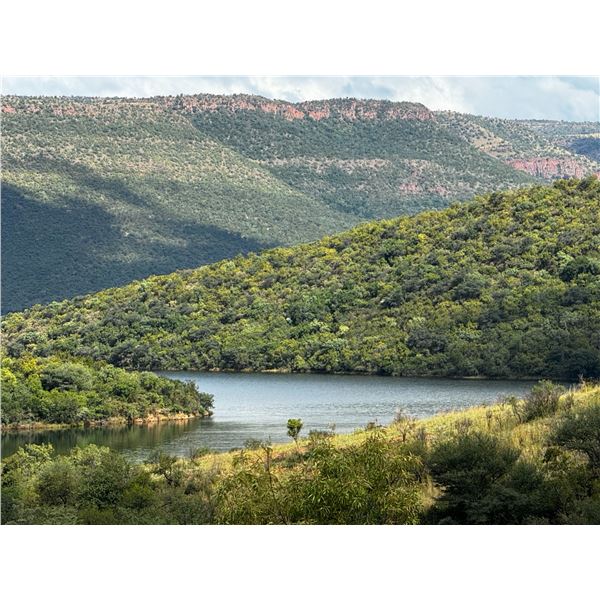 8 Day South Africa Plains Game Safari for One Hunter and One Non-Hunter includes Two Trophies