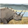 Image 1 : Framed Original Acrylic Painting featuring Black Rhino