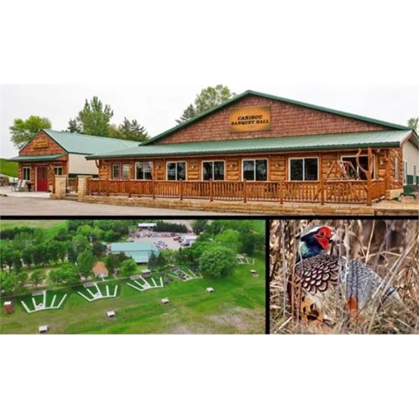 50 Bird Minnesota Pheasant Hunt and a One Year Gun Club Membership