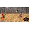 Image 5 : 50 Bird Minnesota Pheasant Hunt and a One Year Gun Club Membership