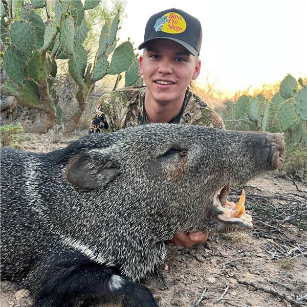 Texas Javelina Hunt for 2