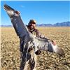 Image 1 : Arizona Sandhill Crane Hunt for up to 4