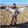 Image 4 : Arizona Sandhill Crane Hunt for up to 4