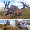Image 1 : 2026 New Zealand 3-Species Combo Hunt