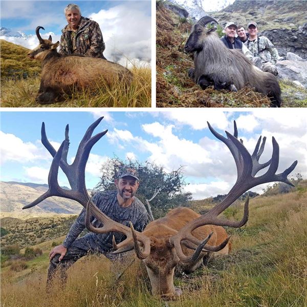 2027 New Zealand 3-Species Combo Hunt