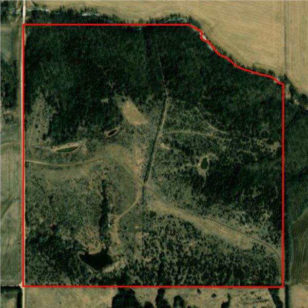 Nebraska Turkey Hunt for up to 4 Hunters