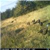 Image 2 : Nebraska Turkey Hunt for up to 4 Hunters