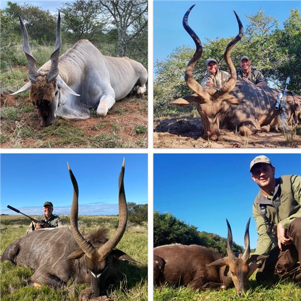 East Cape Spiral Horned Antelope Safari