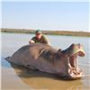 Image 2 : South Africa Hippo & Hyena Hunt for 2