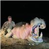Image 3 : South Africa Hippo & Hyena Hunt for 2