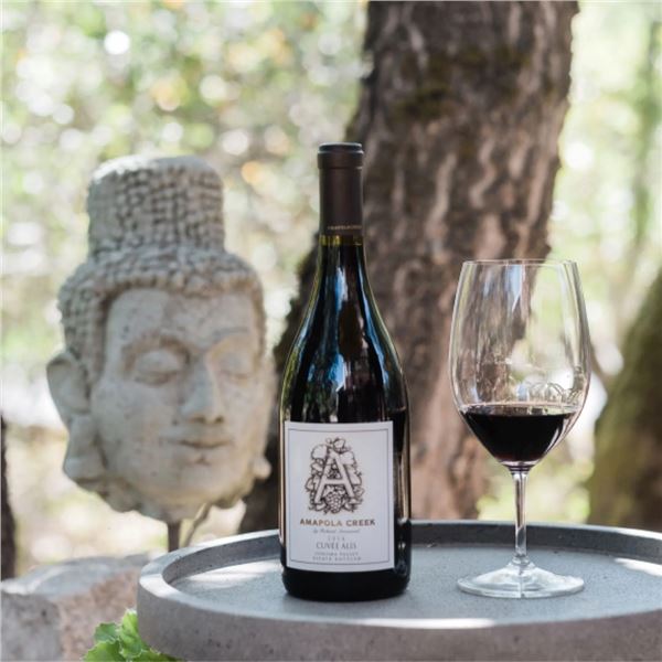 Wine & Vineyard Experience