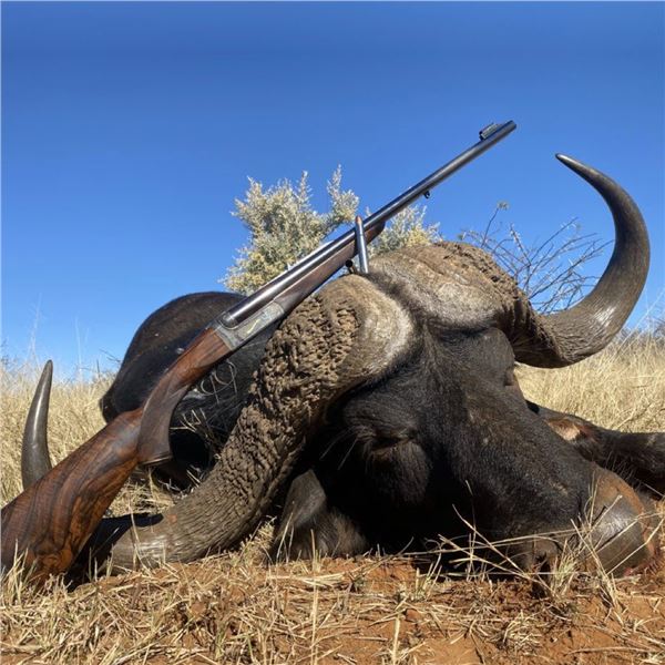 African Cape Buffalo & Blue Wildebeest for 2 Hunters & 2 Observers