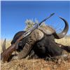 Image 1 : African Cape Buffalo & Blue Wildebeest for 2 Hunters & 2 Observers