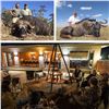 Image 3 : African Cape Buffalo & Blue Wildebeest for 2 Hunters & 2 Observers